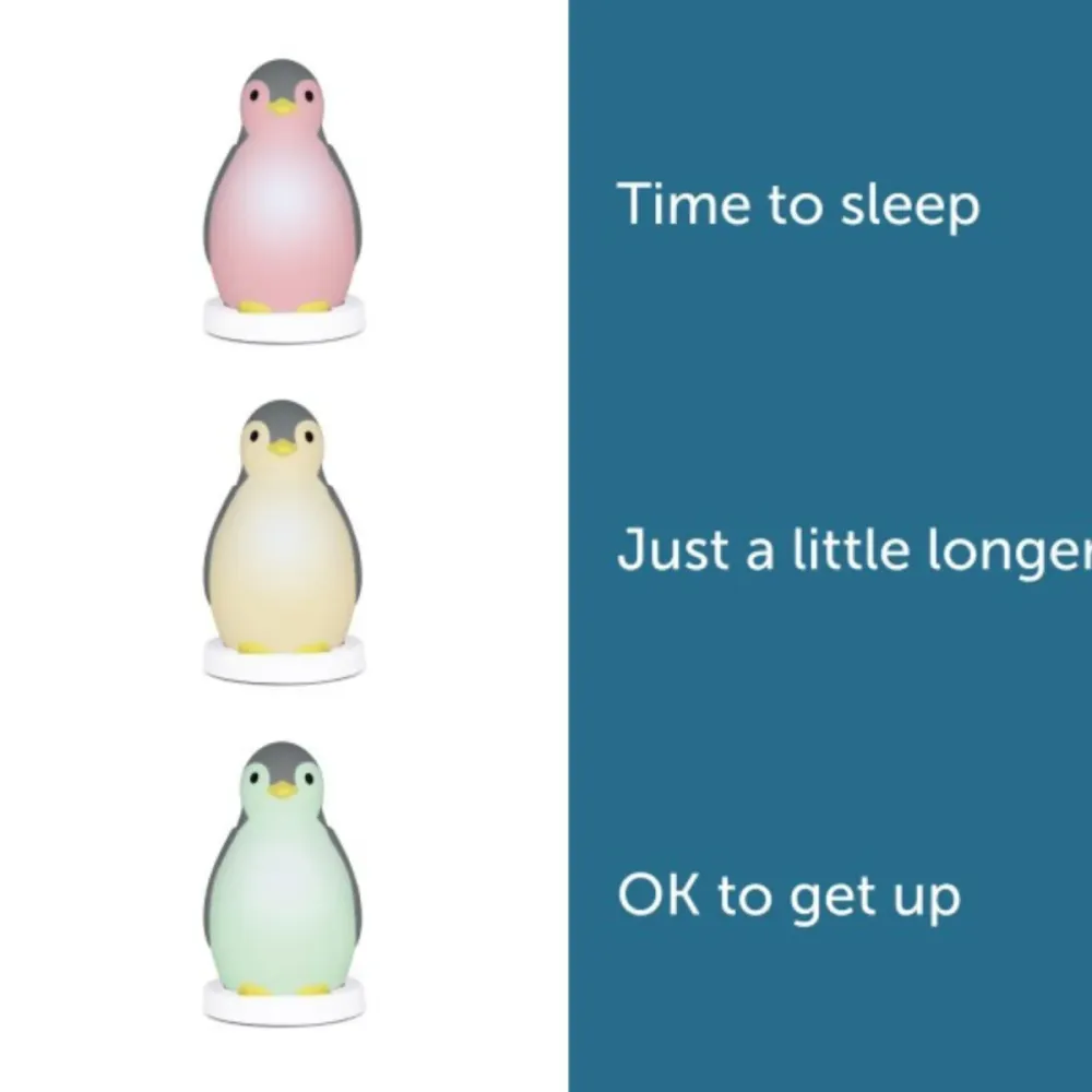 ZAZU - Sleeptrainer Penguin - Pam Grey