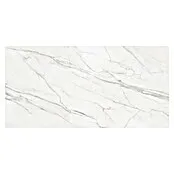 Tau ceramica Keramische tegel - Varenna Carrara - 280 x 120 cm, Wit / Grijs, Mat