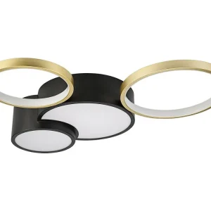 Premium Kwaliteit Plafondlamp Alize, Zwart, 9,5x60x60 cm, EPIKASA