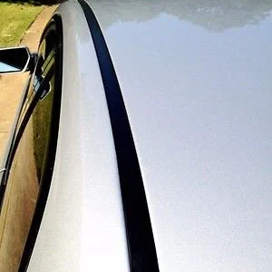 1990-1993 Honda Accord Ravenzwart Roof Top Trim Molding Kit