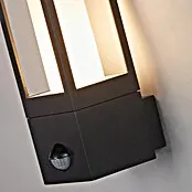 Batterij-gevoede Searchlight Led-buitenlamp - Kleur behuizing: Zwart, IP44