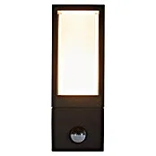 Batterij-gevoede Searchlight Led-buitenlamp - Kleur behuizing: Zwart, IP44